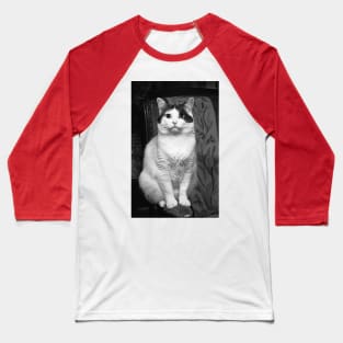 r3102/  New finition 2021 : Les cats par Okaio Pirate's attitudes / expressions "human" 3 Baseball T-Shirt